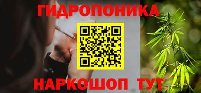 мет Можга